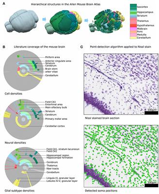 A Cell Atlas for the Mouse Brain